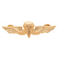 U.S. Navy Parachutist Badge
