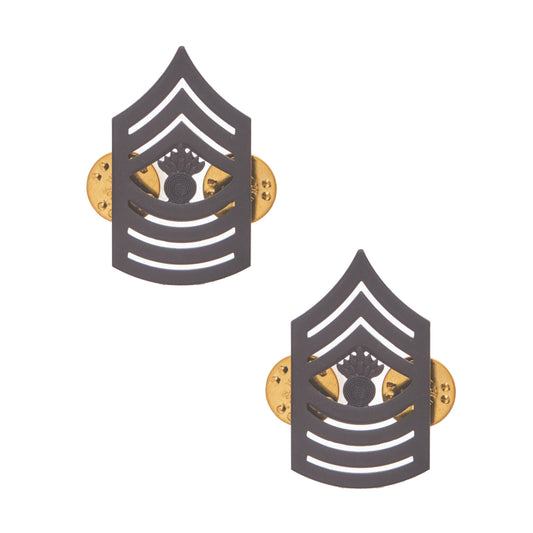 U.S. Marine Corps Master Gunnery Sergeant