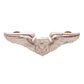 U.S. Air Force Aircrew Officer