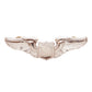 U.S. Air Force Pilot