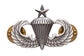 U.S. Army Senior Parachute Badge