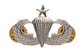 U.S. Army Senior Parachute Badge