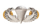 U.S. Army Novice Parachute Badge