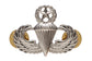 U.S. Army Master Parachute Badge