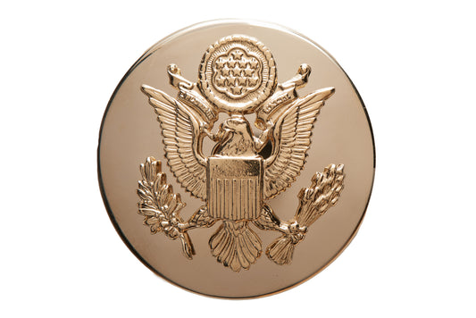 U.S. Army enlisted male, shiny finish
